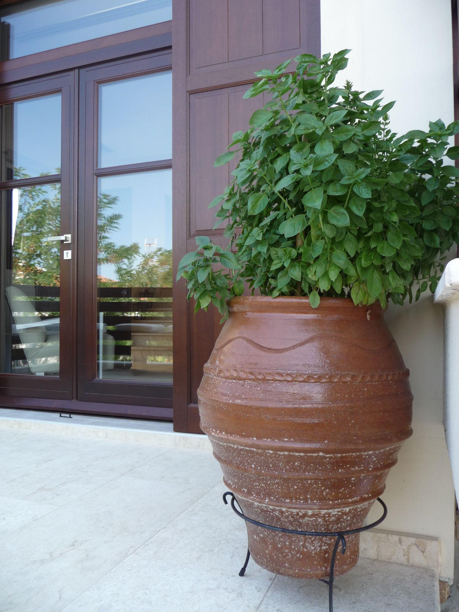 Helianthus Guesthouse Ammouliani Exterior photo
